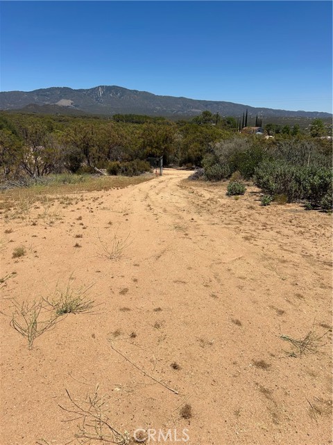 MLS #SW25174539 image #14