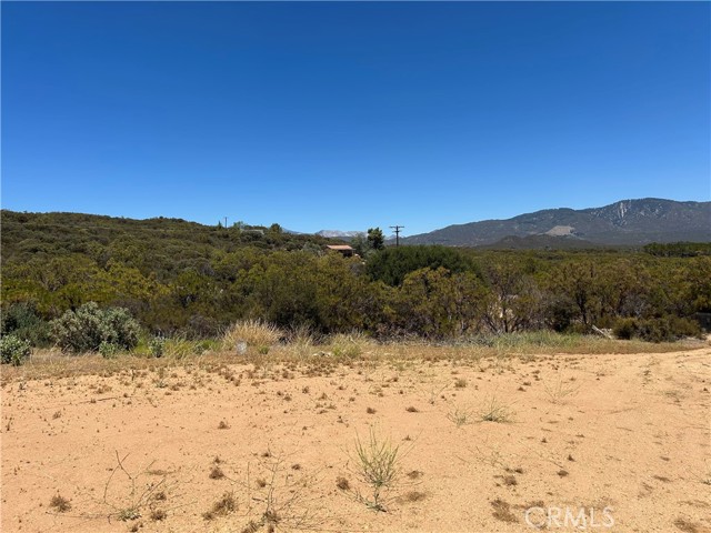 MLS #SW25174539 image #15