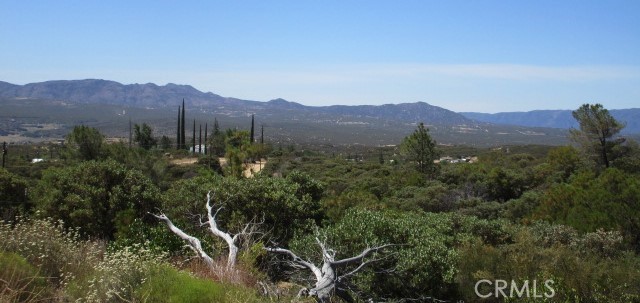 MLS #SW25174539 image #2