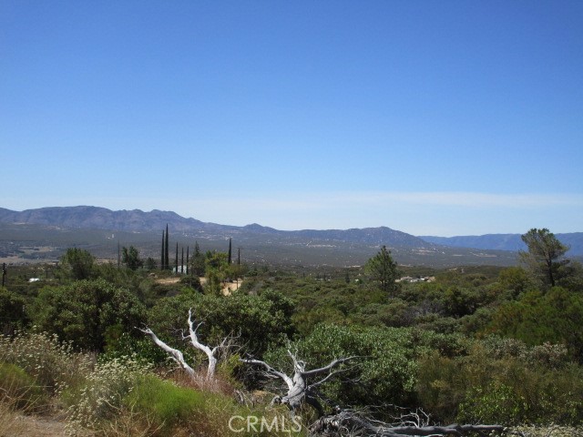 MLS #SW25174539 image #24