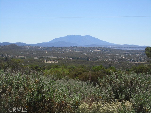 MLS #SW25174539 image #4