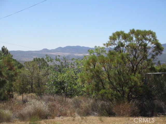 MLS #SW25174539 image #5
