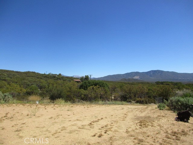 MLS #SW25174539 image #6