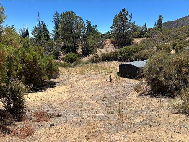 MLS #SW25174539 image #7