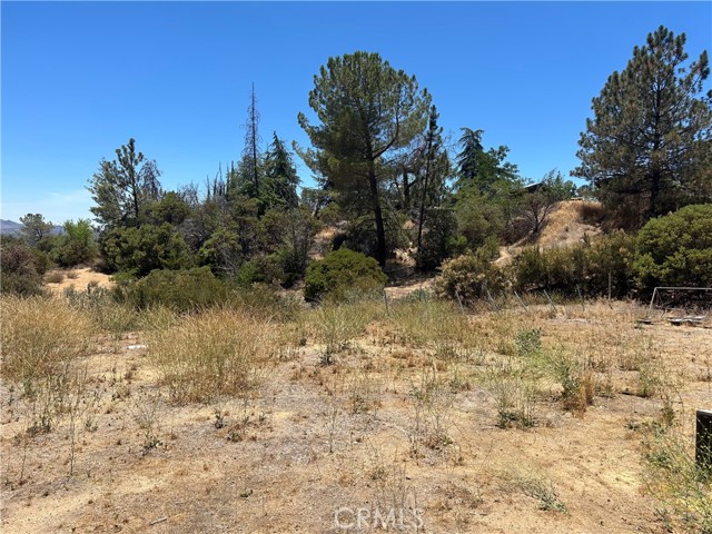 MLS #SW25174539 image #8