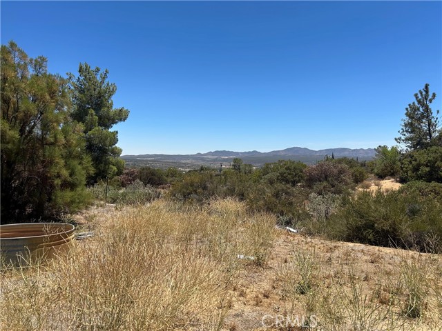 MLS #SW25174539 image #9