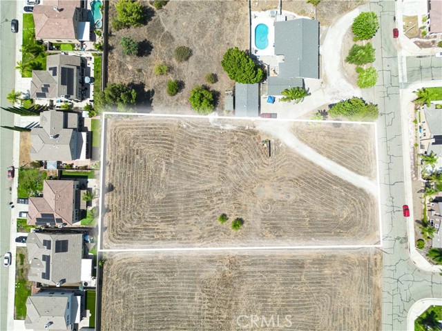 MLS #SW25175347 image #6