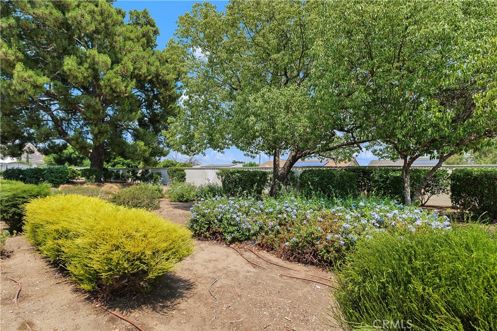 MLS #SW25177363 image #20