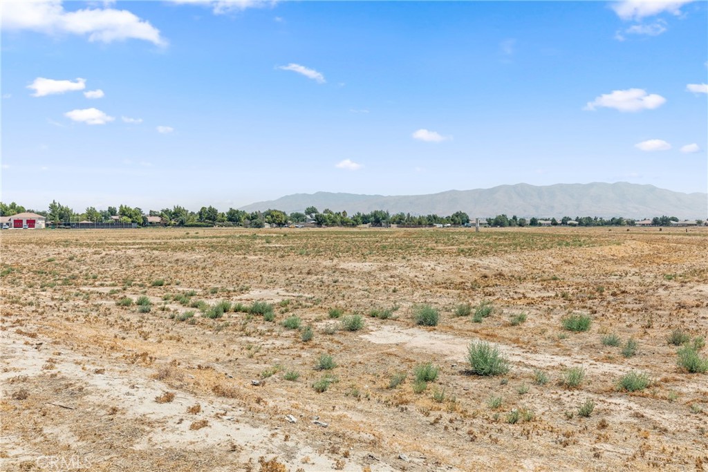 MLS #SW25179268 image #8