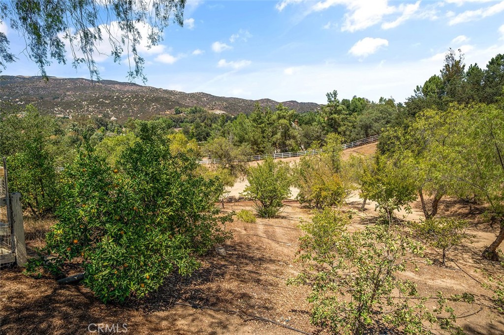 MLS #SW25179639 image #53