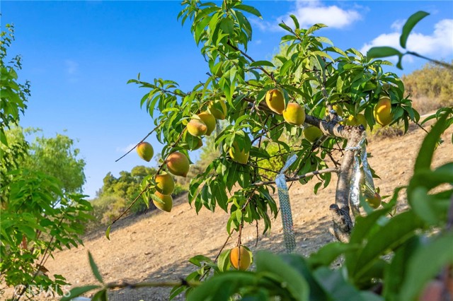 MLS #SW25180058 image #44