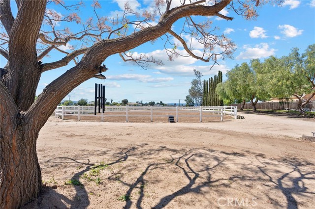 MLS #SW25180513 image #9