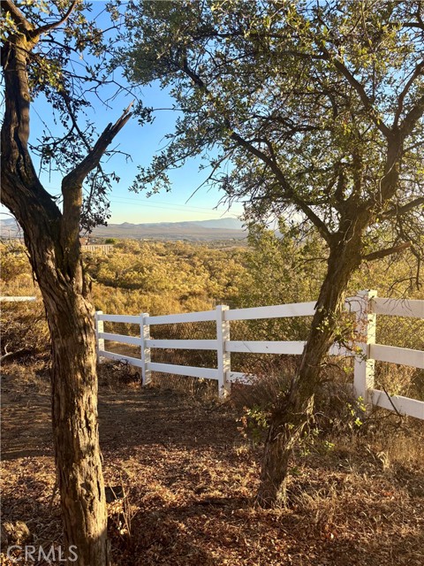 MLS #SW25183429 image #42