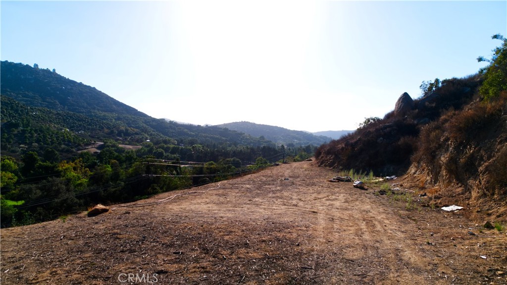 MLS #SW25184899 image #4