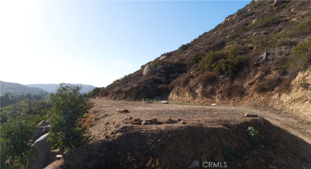 MLS #SW25184899 image #7