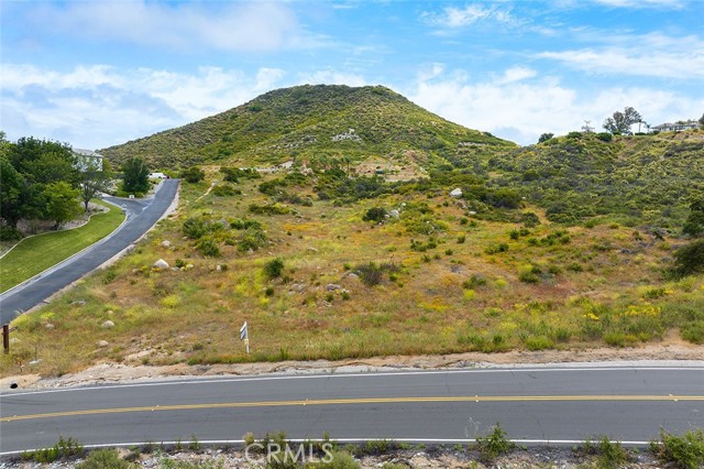 MLS #SW25185487 image #10