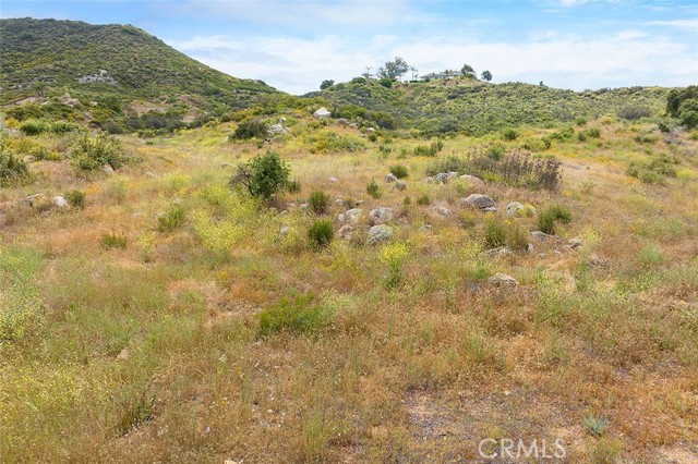 MLS #SW25185487 image #15