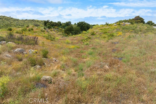 MLS #SW25185487 image #16