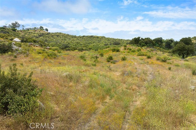 MLS #SW25185487 image #17