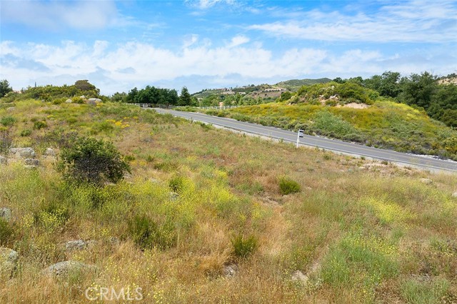 MLS #SW25185487 image #18