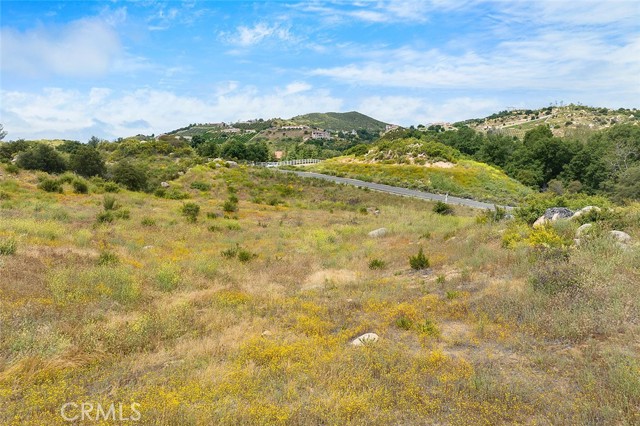 MLS #SW25185487 image #19