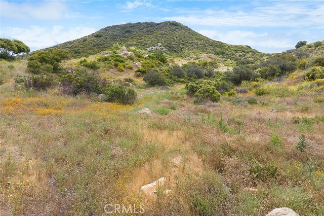 MLS #SW25185487 image #20