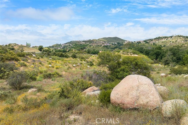 MLS #SW25185487 image #21