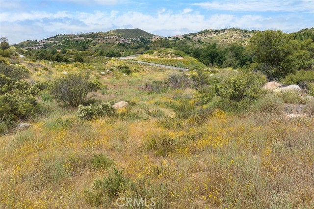 MLS #SW25185487 image #22