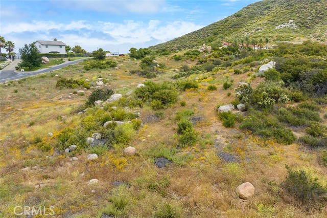 MLS #SW25185487 image #23