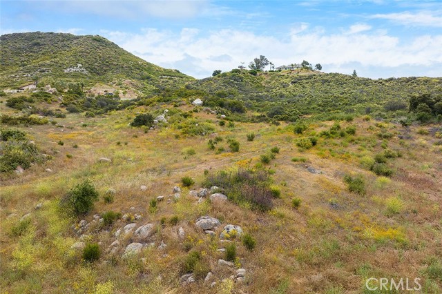 MLS #SW25185487 image #25