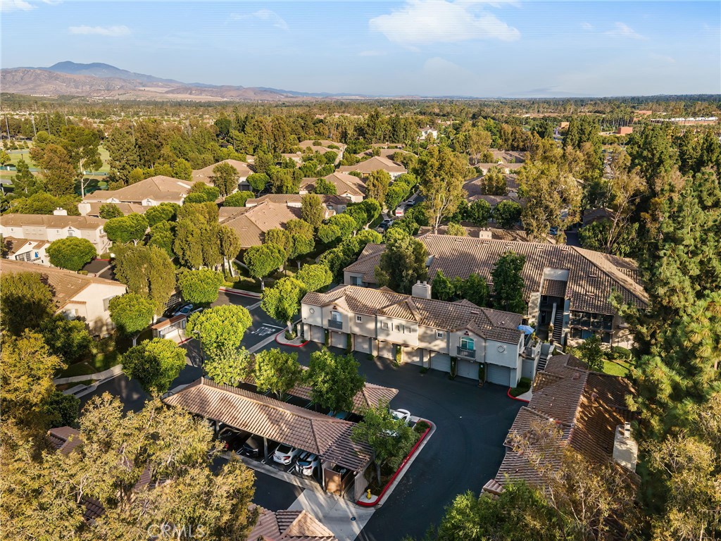 MLS #SW25185679 image #5