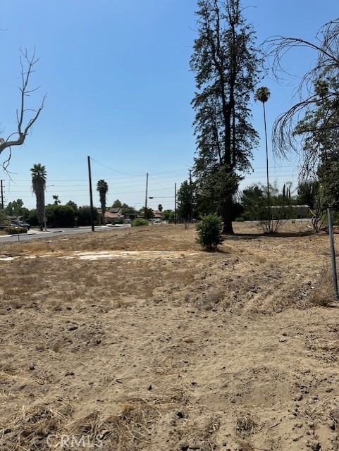 MLS #SW25187090 image #3