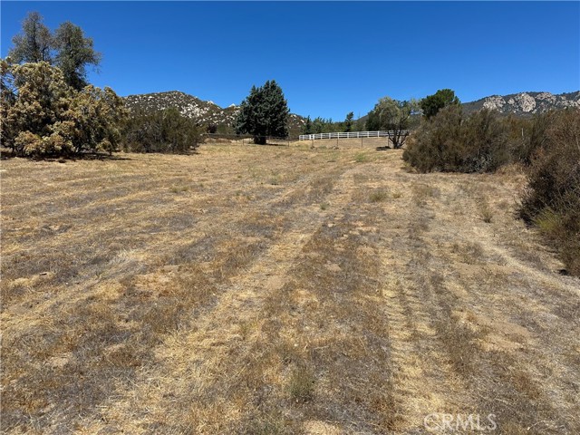 MLS #SW25188072 image #6