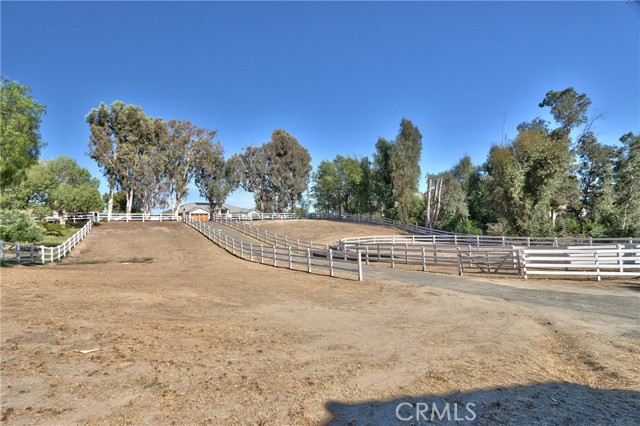 MLS #SW25188473 image #34