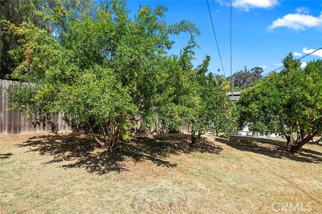 MLS #SW25188960 image #20