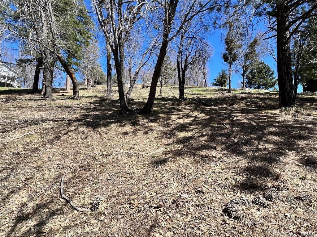 MLS #SW25191190 image #1