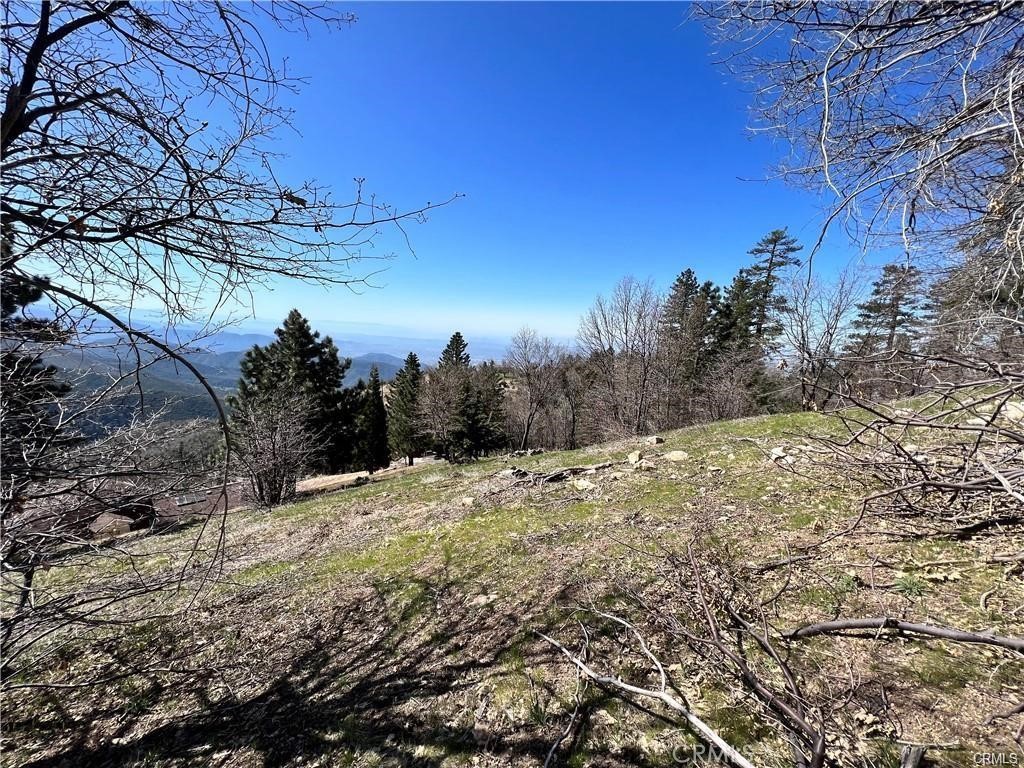 MLS #SW25191190 image #2