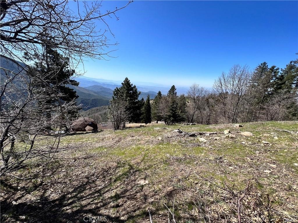 MLS #SW25191190 image #3