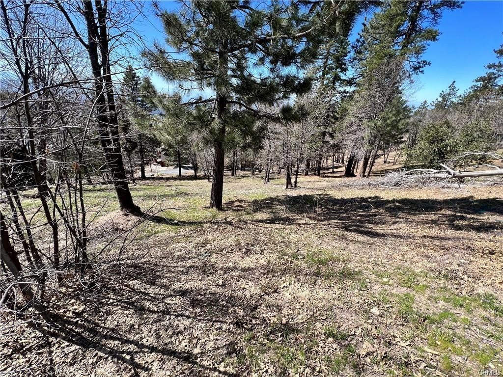 MLS #SW25191190 image #4