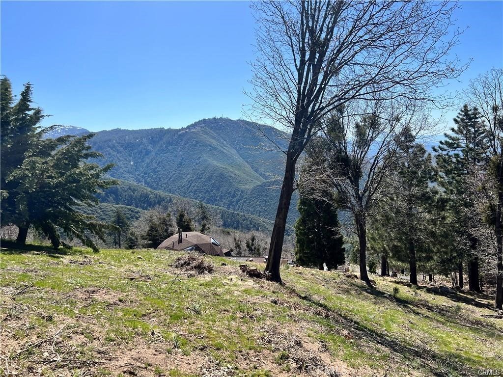 MLS #SW25191190 image #5