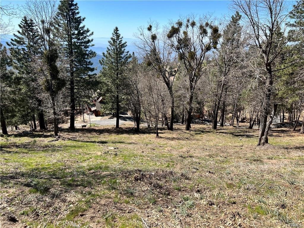 MLS #SW25191190 image #6