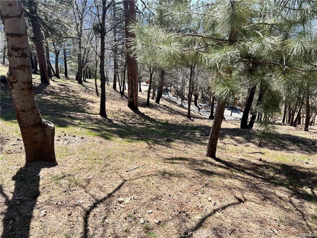 MLS #SW25191190 image #7