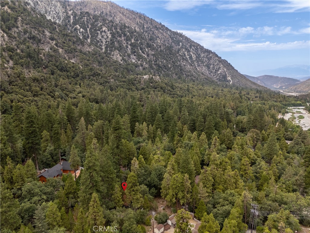 MLS #SW25192929 image #23