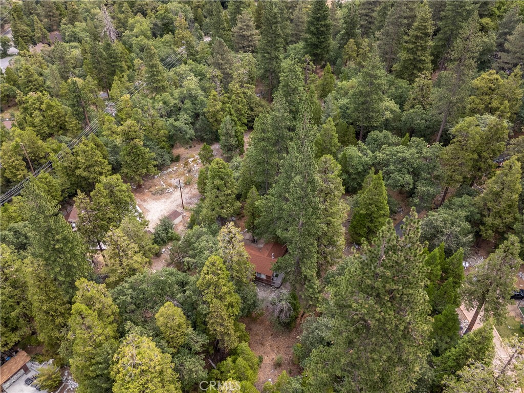 MLS #SW25192929 image #25