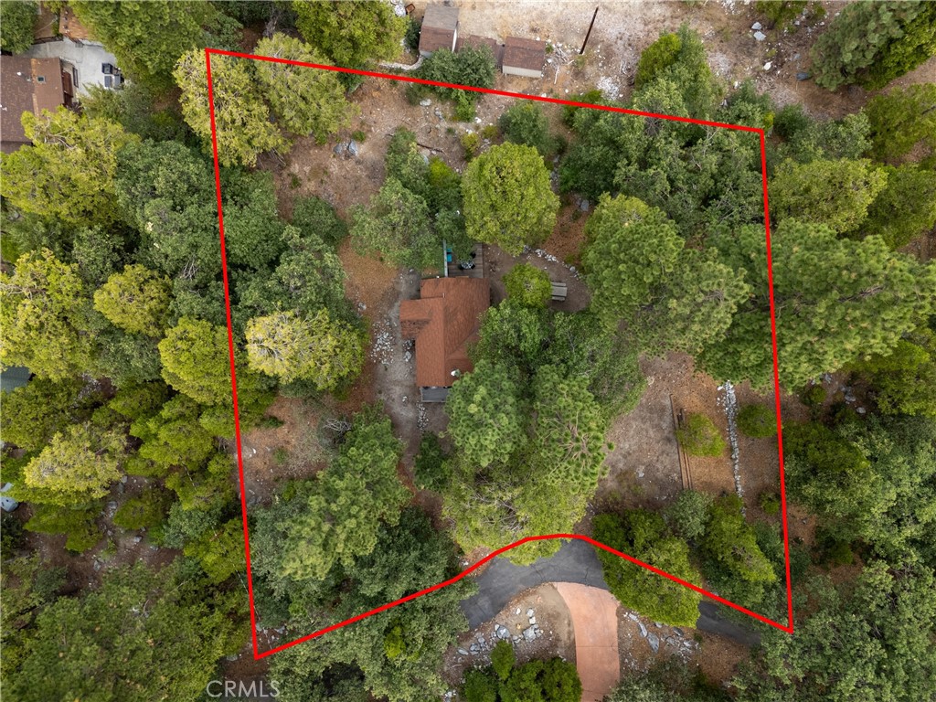 MLS #SW25192929 image #6