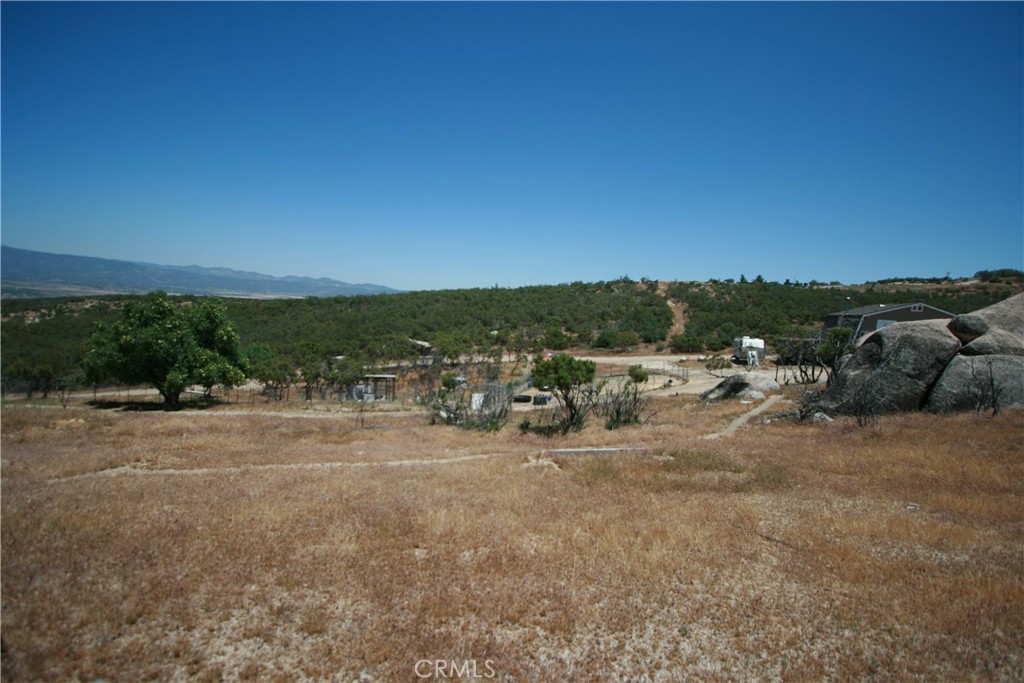 MLS #SW25194399 image #12