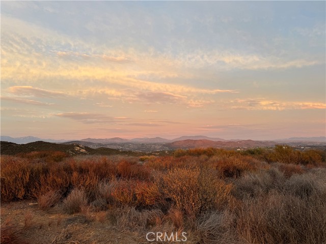 MLS #SW25195248 image #10