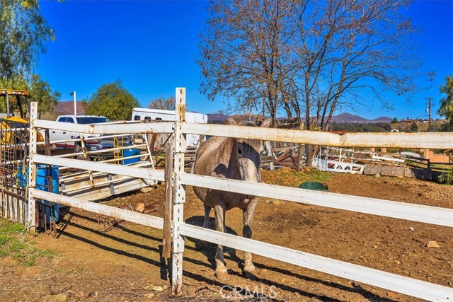 MLS #SW25199612 image #35