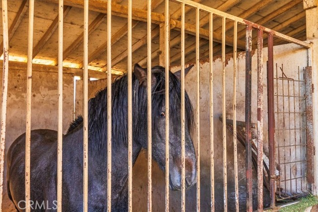 MLS #SW25199612 image #37