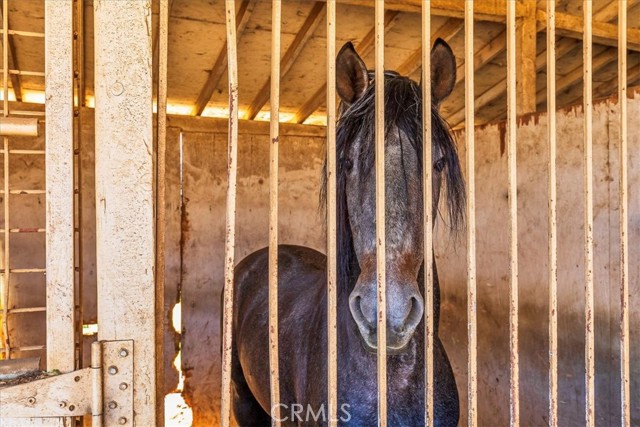 MLS #SW25199612 image #38